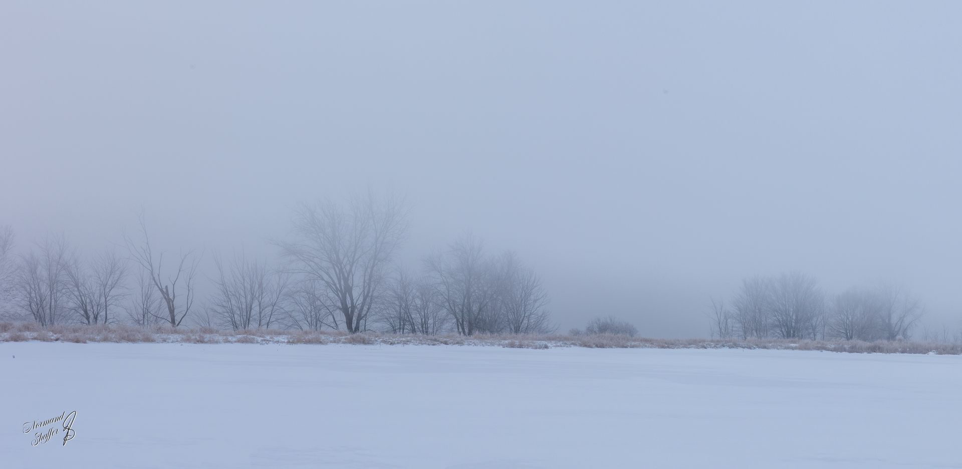 2021-01-15  08h29m20  (00355) Brume sur la rivière