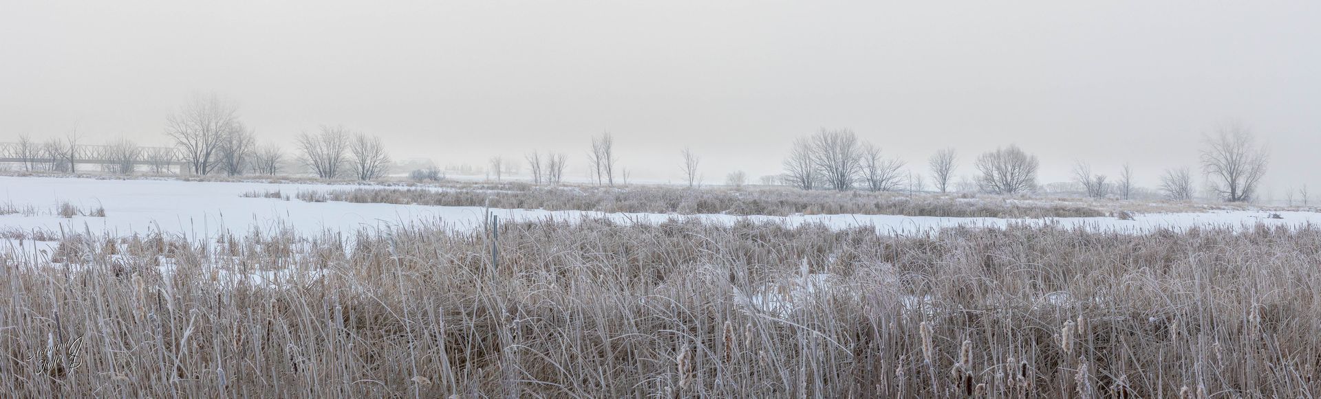 2021-01-15  08h24m43  (00340) Brume sur la rivière