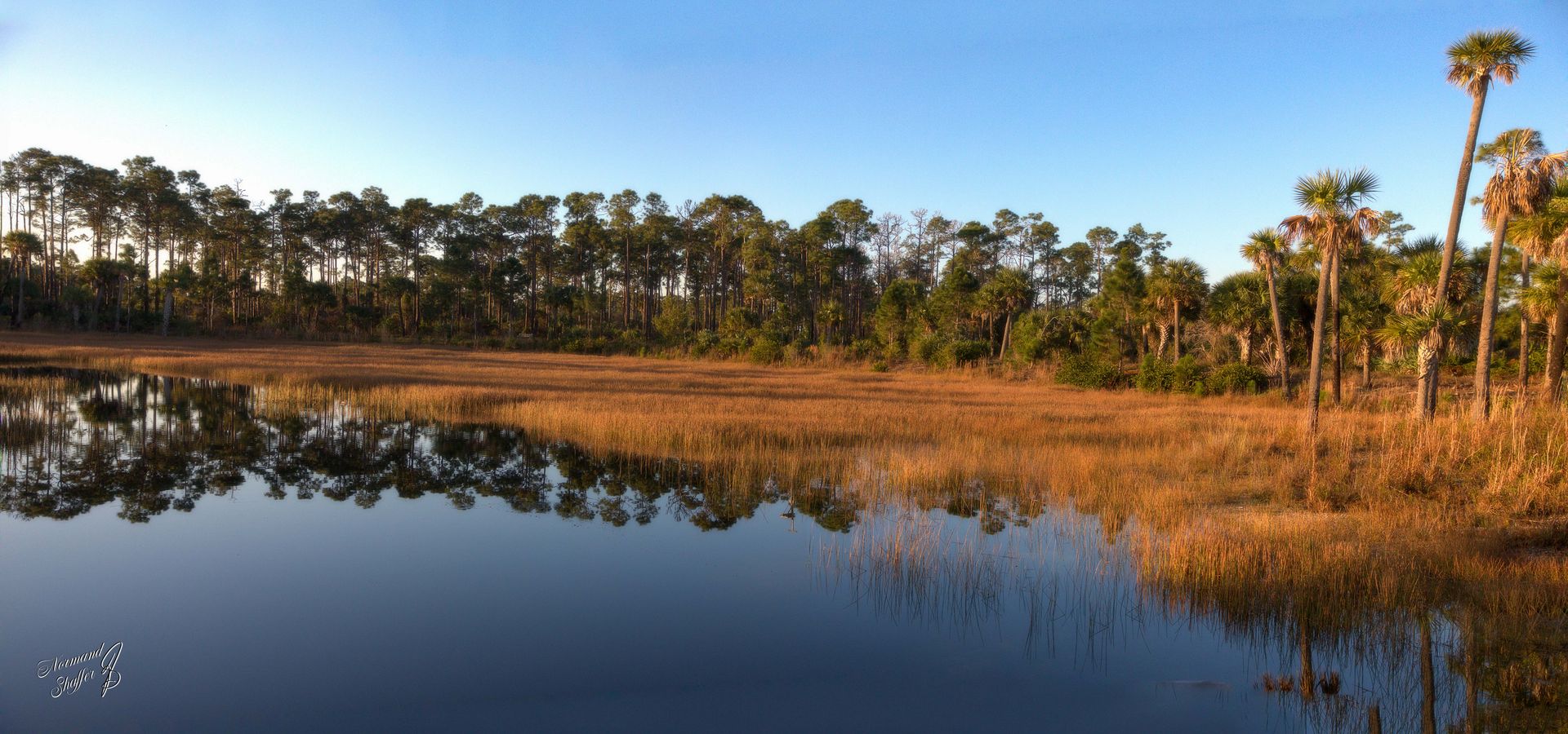 2020-01-28 (0741) _NS18590 Okeeheelee Park South