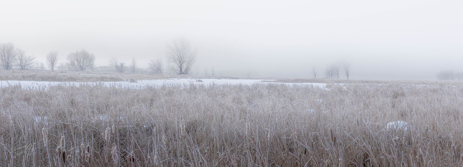 2021-01-15  08h24m49  (00344) Brume sur la rivière