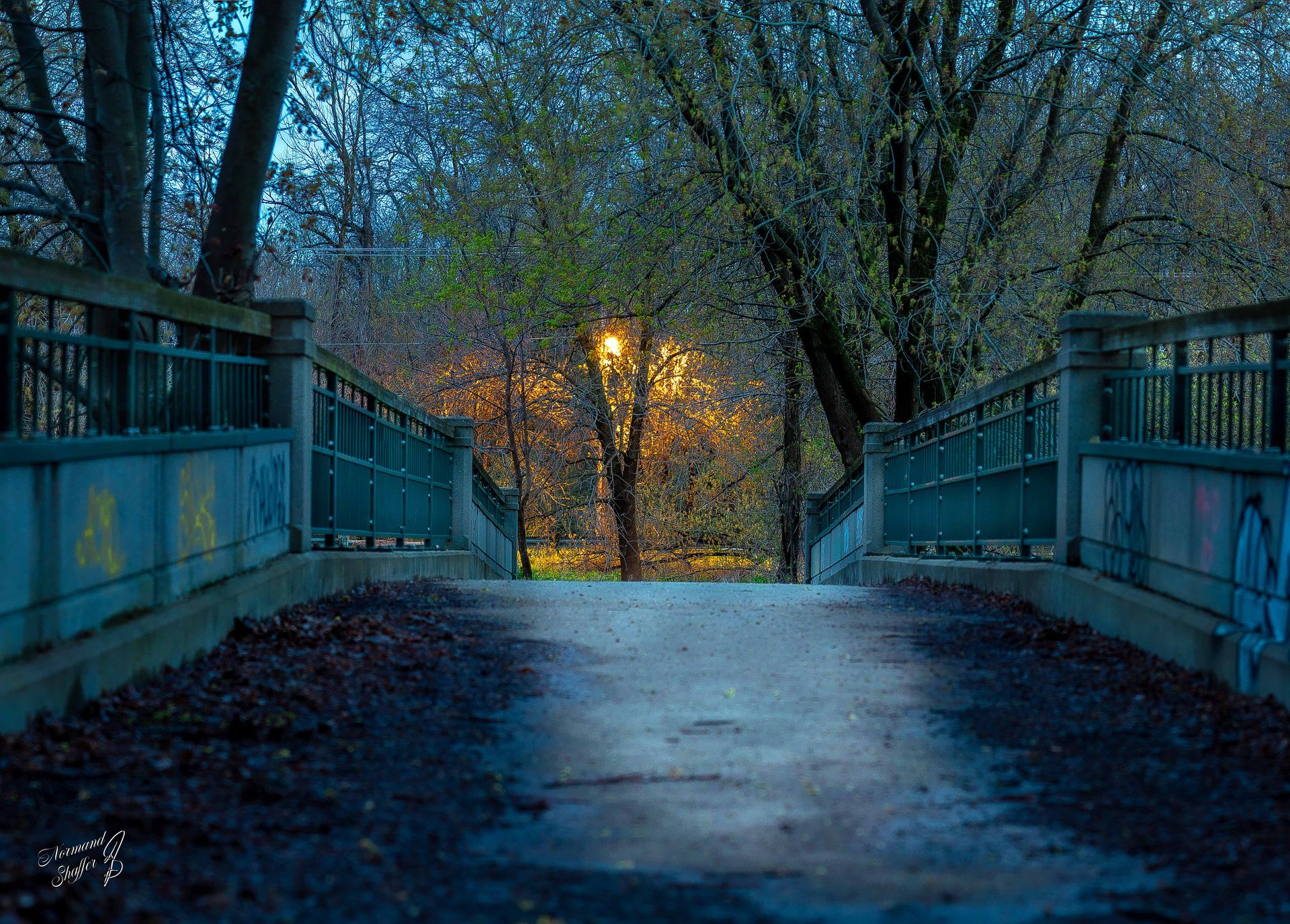 2021-05-01  04h15m16  (03398) Parc île Haynes (PAT-Modifier
