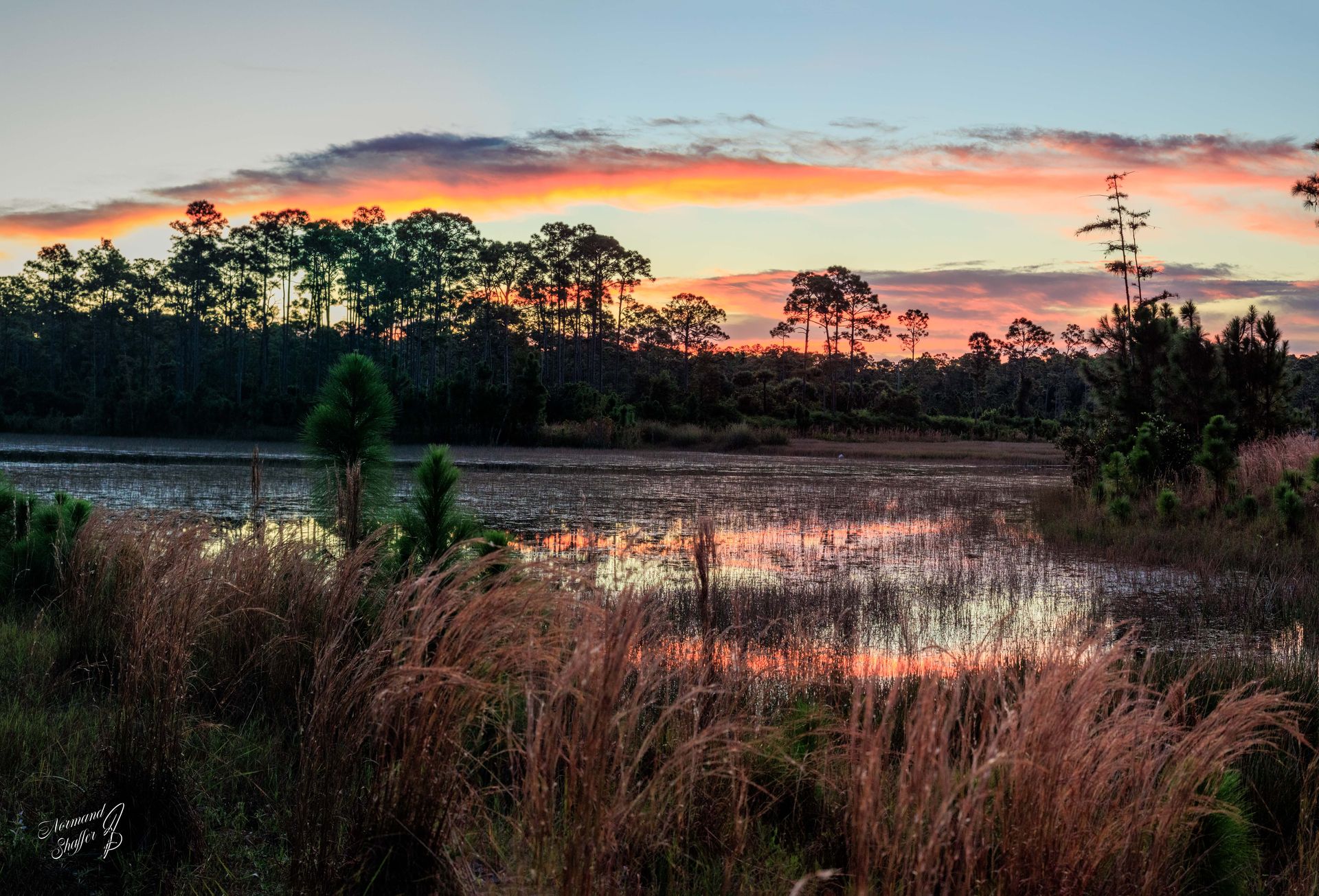 2021-11-14  07h26m15  (05603) Parc Okeeheelee