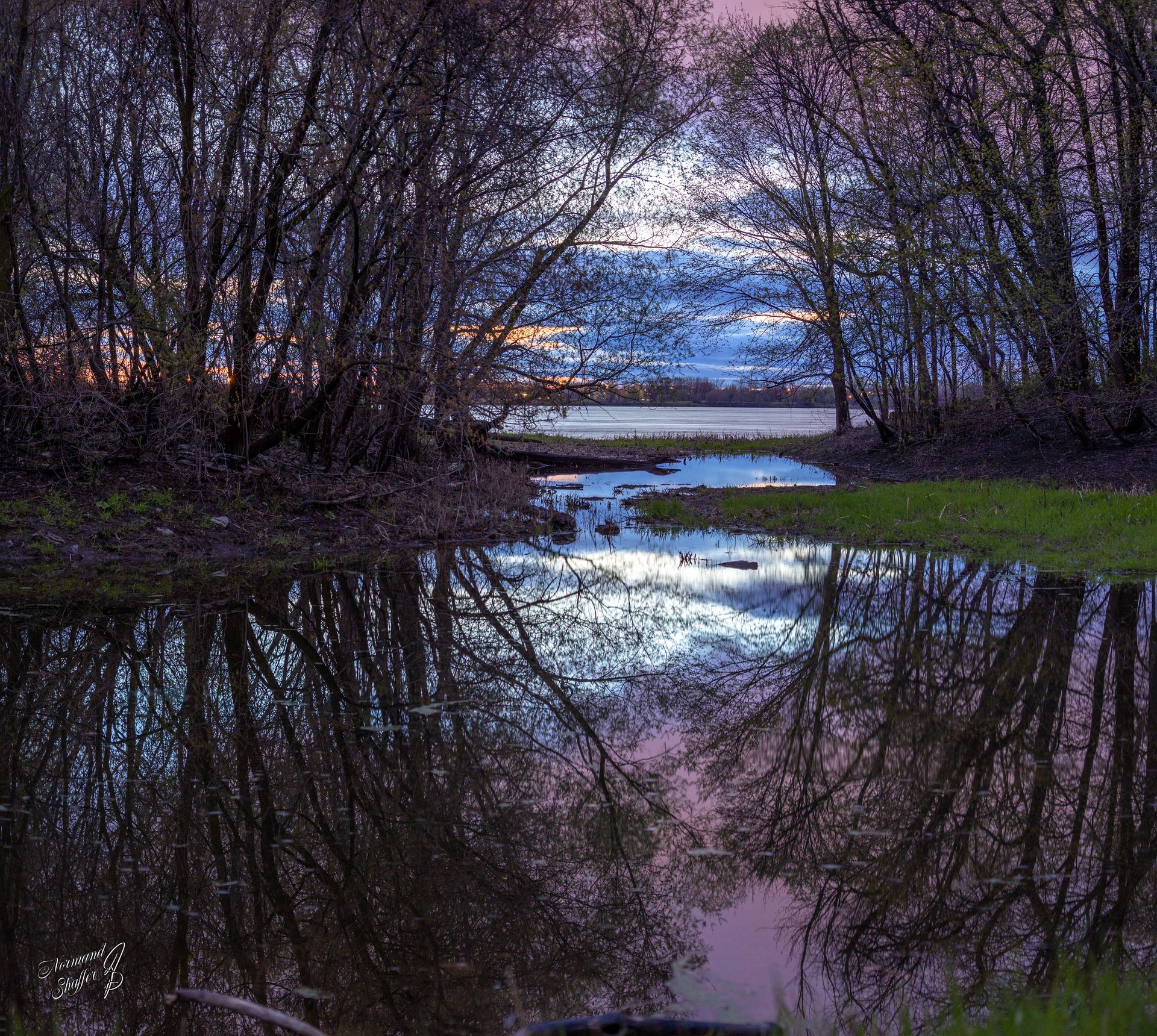 2021-05-01  04h03m19  () Parc île Haynes (PAT)