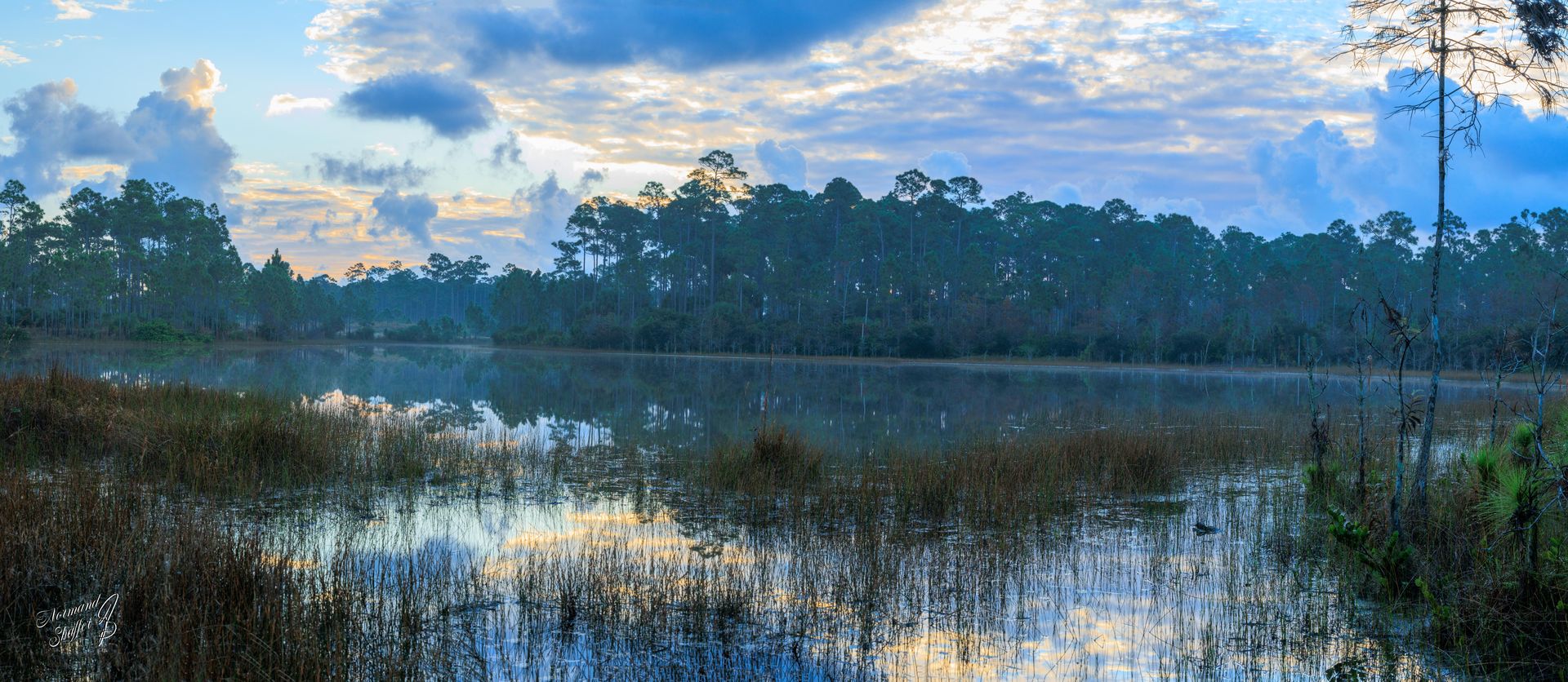 2020-01-28 (0741) _NS18590 Okeeheelee Park South