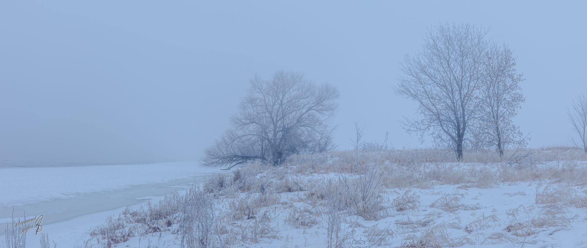 2021-01-15  08h40m47  (00400) Brume sur la rivière